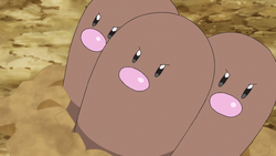 Vermilion Forest Dugtrio.png