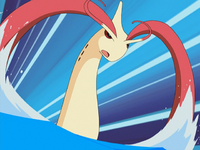 Lucy's Milotic