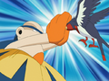 Swellow's tail feather error