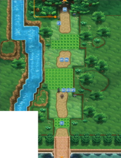 Kalos Route 2 XY.png