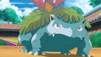 Professor Kukui's Venusaur