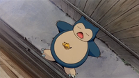 Snorlax