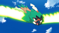 Hau Decidueye Leaf Blade.png