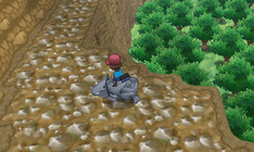 XY Riding Rhyhorn.png