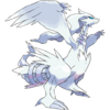 643Reshiram.png