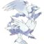 643Reshiram.png