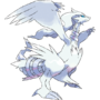 0643Reshiram.png