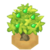 AguavTreeBerryVI XY.png