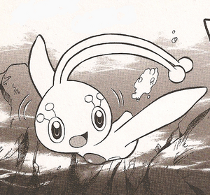 Manaphy M09 manga.png