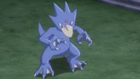 Onia's Golduck