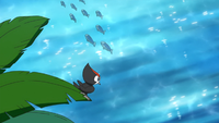 Aether Paradise Pikipek Wishiwashi.png