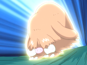 Dawn Piloswine Take Down.png