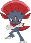 461Weavile DP anime.png