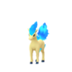 Ponyta