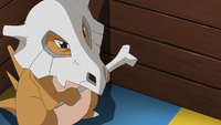 Reina's Cubone