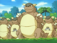 Tommy's Kangaskhan