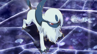 Lusamine's Absol