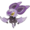 714Noibat.png