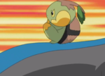 Ash Turtwig Spin.png