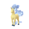 Rapidash