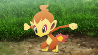 Lucas's Chimchar