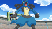 Cameron's Lucario