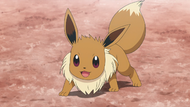 Ilima Eevee.png