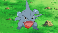 Khoury's Gible