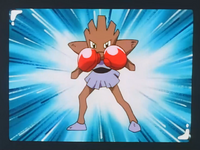 Bruno's Hitmonchan