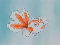 Lily's Goldeen