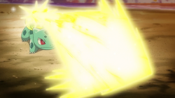 Shauna Bulbasaur Solar Beam.png