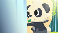 The Pancham Who Wants to Be a Hero