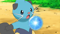 Burgundy Dewott Water Pulse.png