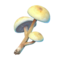 GO Mushroom.png