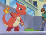 Jimmy Charmeleon.png