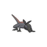 Pokédex Image Salandit USUM.png