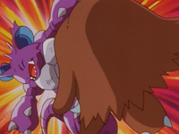 Pryce Piloswine Take Down.png