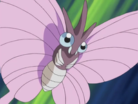 Katie's Venomoth