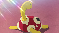 Rising Volt Tacklers's Shuckle