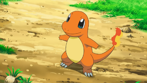 Ash Charmander.png