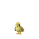 Pidgey