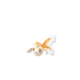 Goldeen