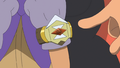 Hapu's Z-Ring