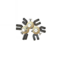 Magneton