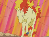 Jon Dickson's Rapidash