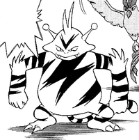 Kenta's Electabuzz