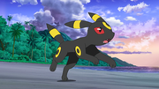 Gladion's Umbreon