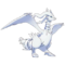 N & Reshiram