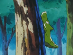 Murcott Island Metapod.png