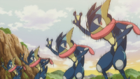 Sanpei Greninja Double Team.png